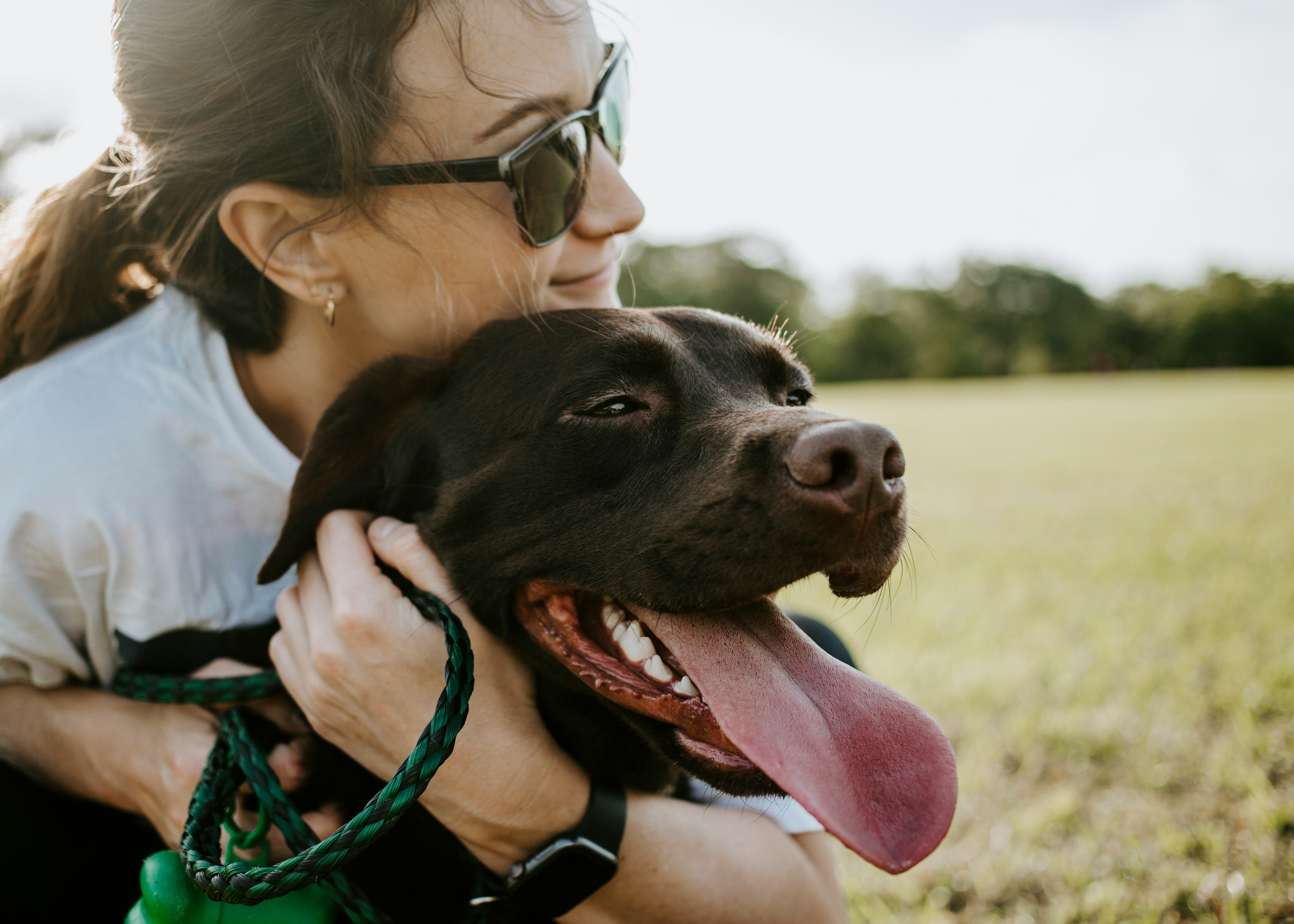 Dog photo: Orthopedic Dog Beds for Seniors